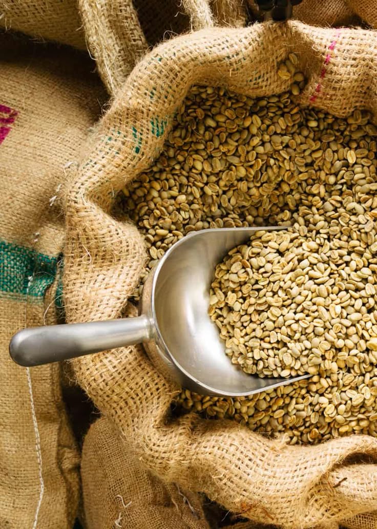 Yirgacheffe Coffee